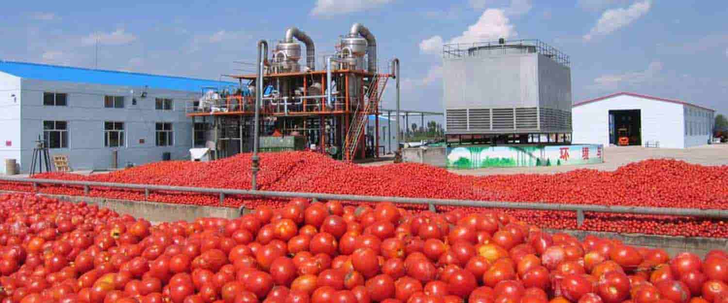 خرید و قیمت رب گوجه فرنگی صادراتی + فروش عمده